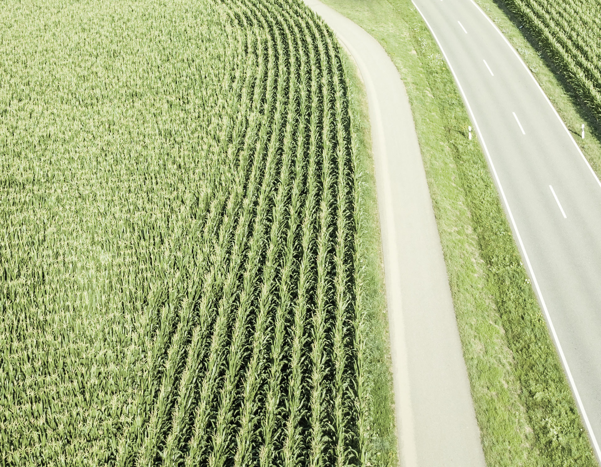 Nachhaltigkeit - BauVision Ingenium